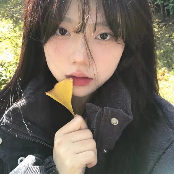 白粉飞 第三季