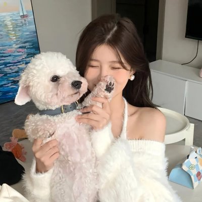 史酷比!格斗狂热迷